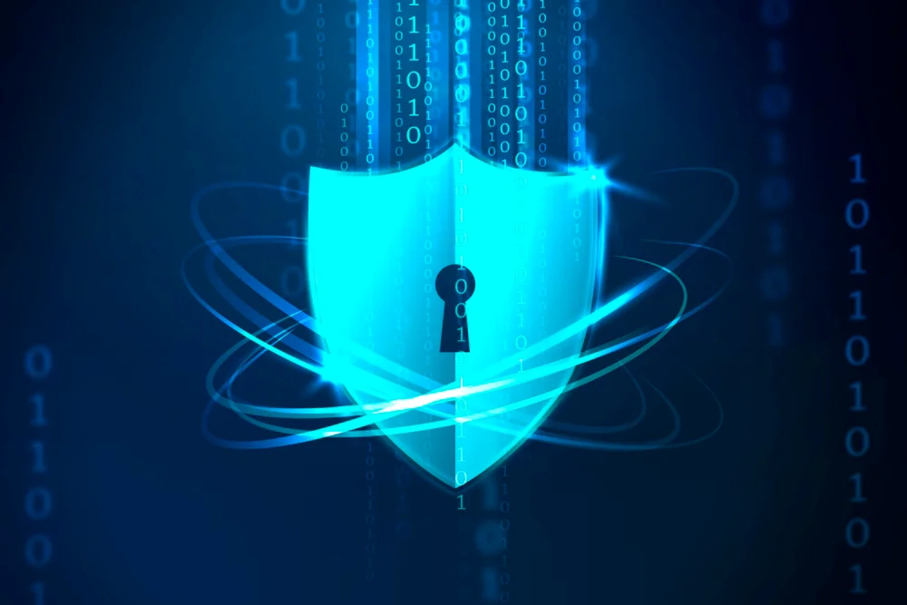 Gazelle Business Solutions » Best Website Design Company and Digital Marketing Agency Information security