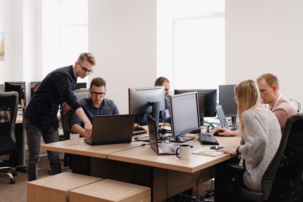 Gazelle Business Solutions » Best Website Design Company and Digital Marketing Agency wordpress development