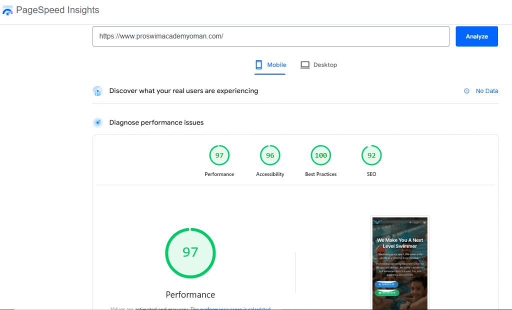 Pro Swim Page Speed Mobile